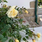 Casa Do Bairro