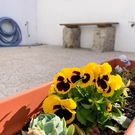לינה וארוחת בוקר Casa Do Bairro