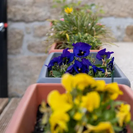 Bed & Breakfast Casa Do Bairro Seia