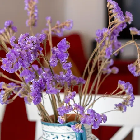 Bed & Breakfast Casa Do Bairro