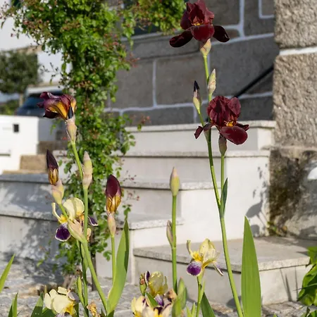 Bed & Breakfast Casa Do Bairro Seia