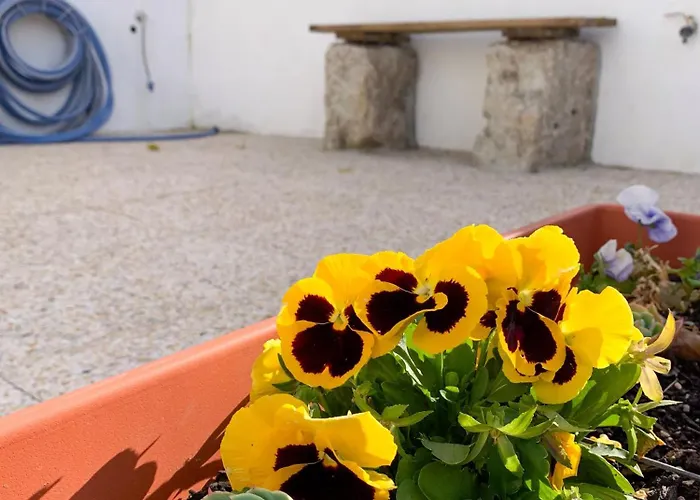 Bed & Breakfast Casa Do Bairro