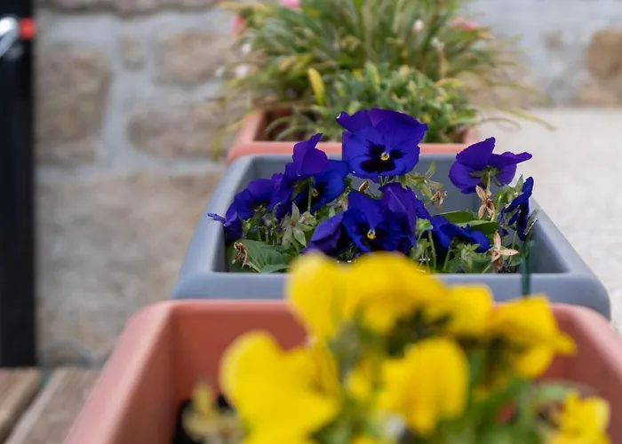 住宿加早餐酒店 Casa Do Bairro 塞亚