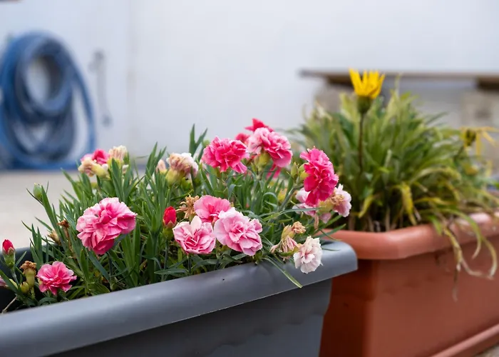 住宿加早餐酒店 Casa Do Bairro 塞亚