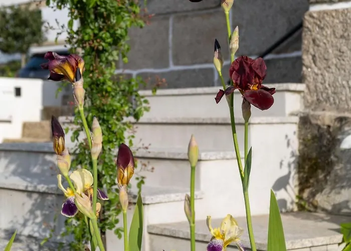 住宿加早餐酒店 Casa Do Bairro 塞亚